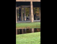 Two girls dance cross cemetery black shorts