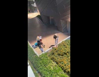 Lady Lays Down next to Plants for Photo 