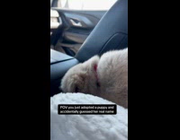 Woman guessing puppys name 