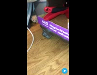 Big black cat trying to lure small orange yellow cat out of hole couch