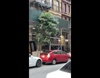 Worker chases thief with baseball bat down road