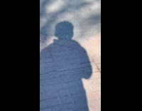 Shadow of filmer filmed on the pavement