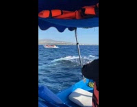 Whale swims nearby the filmer on boat