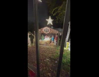 Cat replaces Jesus in nativity scene 