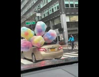 Bags with balloons stick out car window