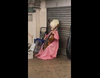 Woman plays cello in pink victorian dress and wig