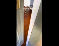 Man couldnt cat sit as cat attacks him 