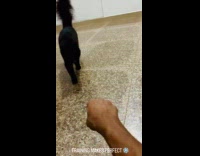 Collab PLC - Guy train cat to rub on fist