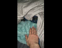 Animal paw goes onto hand on blanket