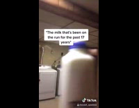 Collab BitchIG2 - Me wondering why my dad left