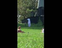 White inflatable polar bear costume park bridge 