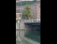 Man attempts to jump on the bridge but police stopped him
