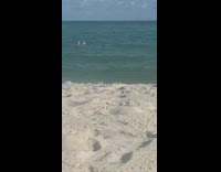 Man swim beach shout join my live