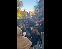 Crowd dances on the road street party