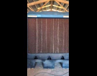 Collab Clips MPUGC - Donkeys in front of swamp cooler fan