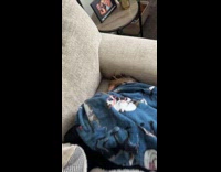 Woman wakes up sleeping friend 