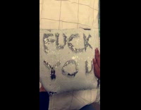 Glitter pillow swipe fuck you silver shiny