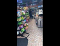 Cat jump on store shelves knock over pringles 