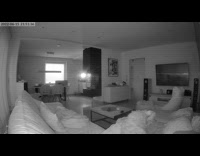 Security footage dog get on sofa open tv