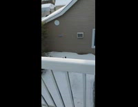 Guy front flips off balcony onto snow