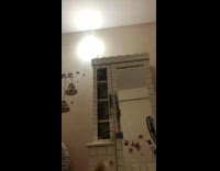 Cat on top of cabinet slides down