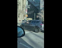 Pigeons perched on mans arm held out the window of car