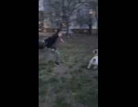 Guy throw tire dog fetch it back