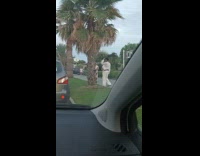 Man poses beside tree with phone flashes