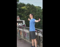 Guy arms out picture bridge