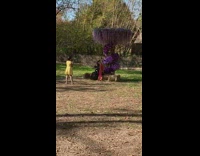 Woman black red dress violet flowers tree