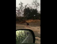 Guys trying to paddle and surf down muddy wet flooded street