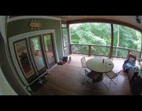 Cat fight off raccoon on porch footage