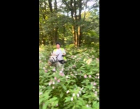 Collab Clips MPUGC - Woman horseback riding on the bushes 