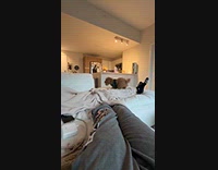 Angry dog thinks man hide her toy