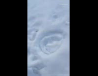 Guy find snow craters backyard ASMR footprints