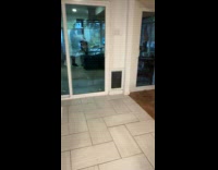 Collab BitchMP - Dog scared of sizzling sound 