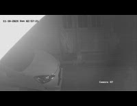 Stray dog returns wallet at the doorstep