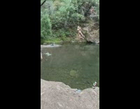 Woman fails to let go of rope swing 