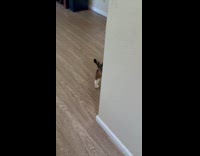 Woman got the earthquake happening on video