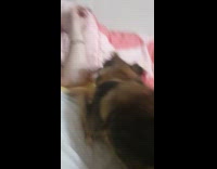 Dog goes under woman arm for scratches