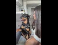 Woman tells her name to her dog 