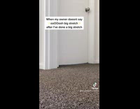 When my owner doesnt say big stretch 