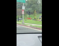 Girl sexy outfit guy bear statue park