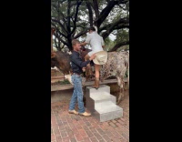 Collab BoysIG - Man covers skirt of woman mount horse