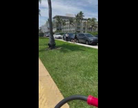 Woman in black dress walk the dog at the sidewalk