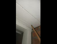 Guy holding stick up to spider and spider jumps on stick 
