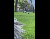 Girl gray sweater dance park dog fur