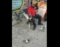 Collab WINY - Man feeds pigeon nuts on his hand