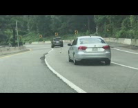 Bird fly alongside cars on downhill road