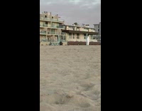 White hazmat suit beach volleyball toilet paper